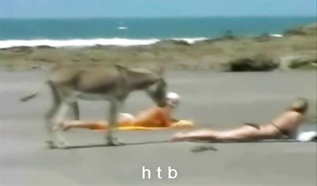 شیار روابط خانوادگی فیلم سکسی جنده ها